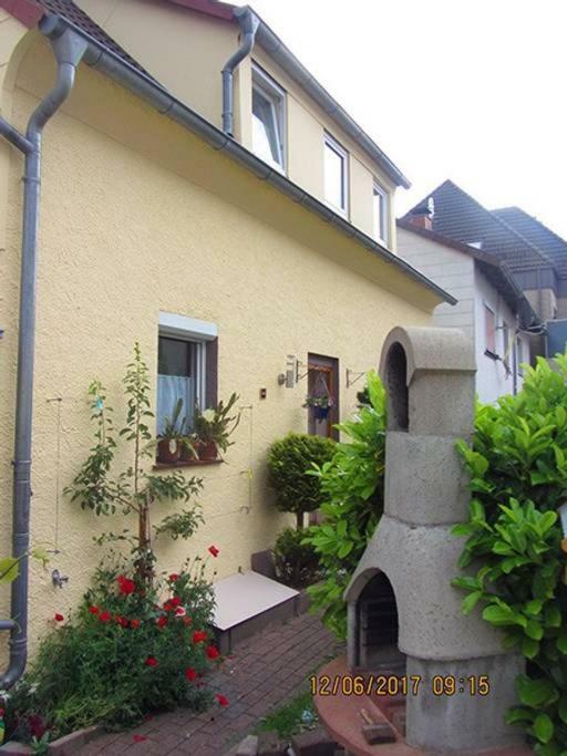 Appartamento Haus Harmonie Bad Driburg Esterno foto